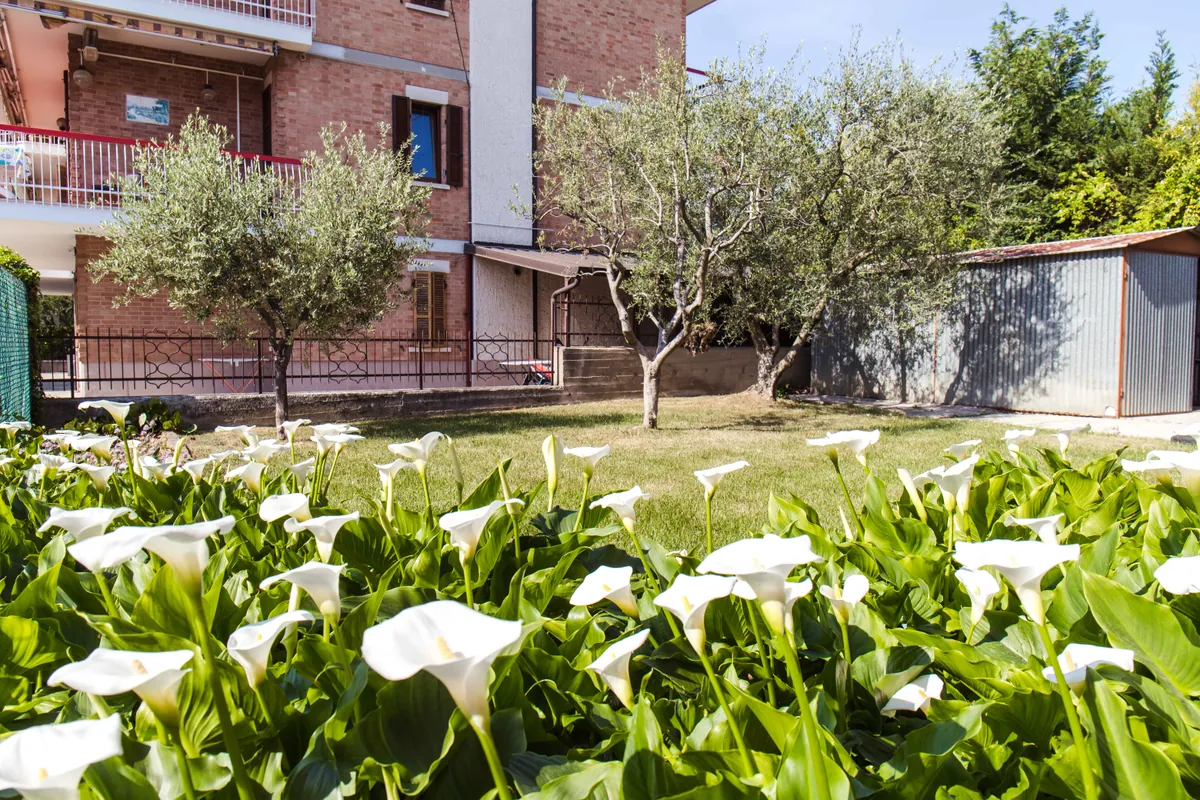 Il giardino
